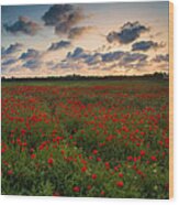 Sunset And Poppies Wood Print