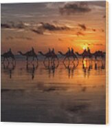 Sunset Camel Safari Wood Print