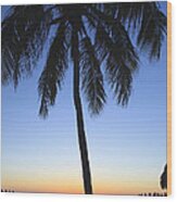 Sunset Palm Wood Print