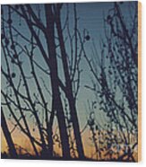 Sunset Through The Trees Wood Print