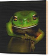 Super Frog 01 Wood Print