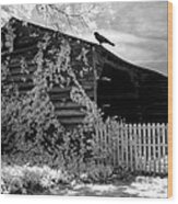 Surreal Black And White Infrared Gothic Nature Barn Landscape With Black Raven Wood Print
