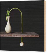 Surreal Tulip Still Life On Black Wood Print