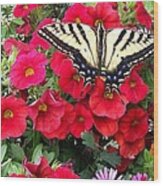 Swallowtail And  Petunia's Wood Print