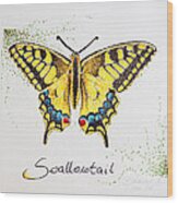 Swallowtail - Butterfly Wood Print