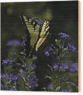 Swallowtail In Purple Field Wood Print