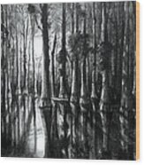 Swamp At Night Wood Print