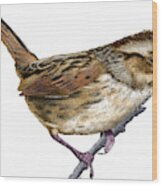 Swamp Sparrow Wood Print