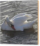 Swan By The Lake # 2 Wood Print