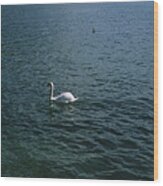 Swan Swimming In A Lake With A Castle Wood Print