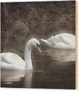 Swans For Life Wood Print