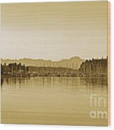 Swantown Marina And The Olympics In Sepia Wood Print