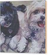 Sweet Havanese Wood Print