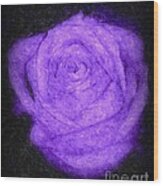 Sweet Lavender Rose Wood Print