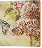 Sweet Lilacs Wood Print