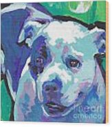 Sweet Staffy Wood Print