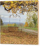 Swing With A View Wood Print