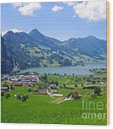 Swiss Landscape Wood Print
