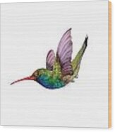 Swooping Broad Billed Hummingbird Wood Print