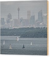 Sydney Harbour From North Head 3 Wood Print
