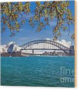 Sydney Harbour Skyline 2 Wood Print