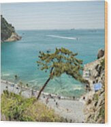 Taejongdae Pebble Beach Viewed From Above In Busan Wood Print