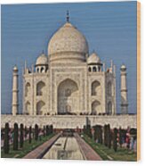 Taj Mahal Wood Print