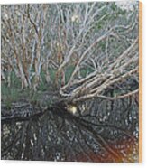 Tea Tree Magic Lake Wood Print