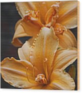 Technicolor Dreamcoat Daylilies Wood Print