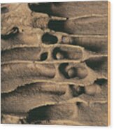 Termite Nest Wood Print