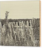 Texas Fence In Sepia Wood Print