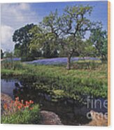 Texas Hill Country - Fs000056 Wood Print