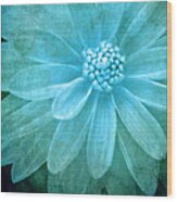 Textured Dahlia In Blue Wood Print