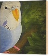 The Baby Parakeet - Budgie Wood Print