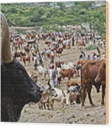 The Bati Animal Market. Ethiopia Wood Print