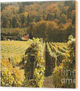 The Beautiful Willamette Valley Wood Print