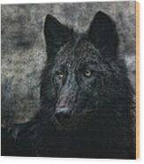 The Black Wolf Wood Print