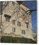 The Castle Greets A Sunny Day Wood Print