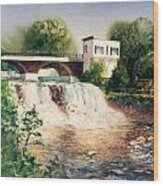 The Chagrin Falls In Summer Wood Print