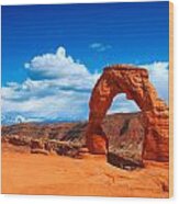 The Delicate Arch Wood Print