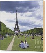 The Eiffel Tower And The Champ De Mars. Paris. France Wood Print