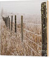 The Fence Still Stands Wood Print