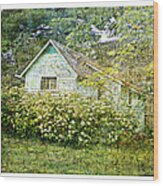 The Garden Shed Wood Print