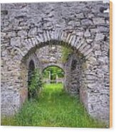 The Gate To The Ruins Wood Print