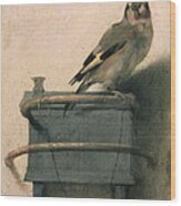 The Goldfinch Wood Print
