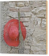 The Hanging Red Hat Wood Print