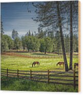 The Horses Of Placerville Wood Print
