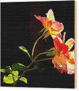 The Illuminated Rose Wood Print