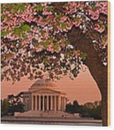 The Jefferson Memorial Framed By A Cherry Tree Wood Print