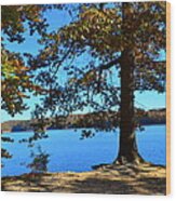 Autumn Trees On Blue Lake Wood Print